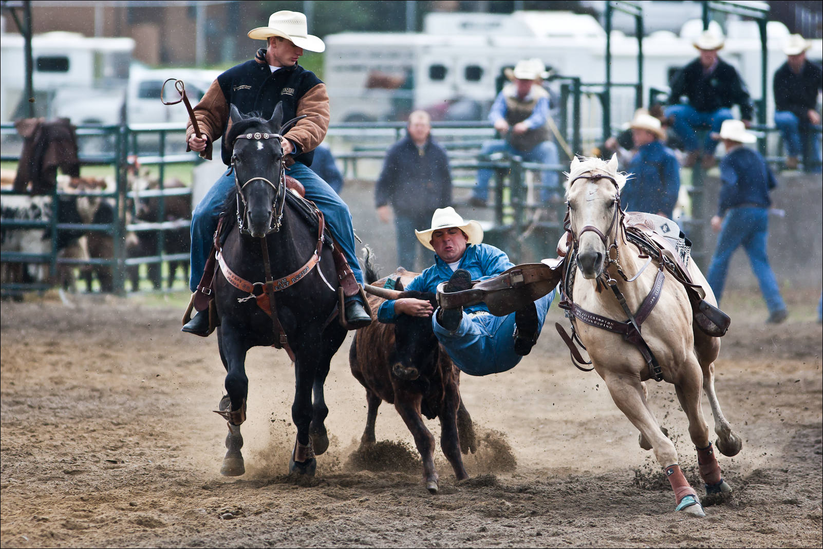 Rooster Day Rodeo Lion’s Annual Labour Day Rodeo | Christopher Martin Photography