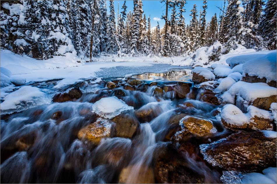 Boom Creek dressed for winter - © Christopher Martin-2829