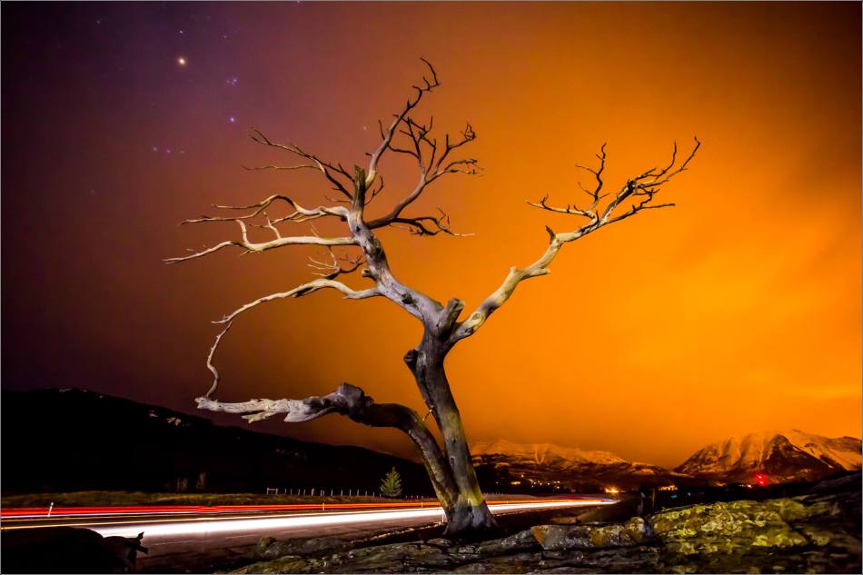 Burris Tree and highway lights - © Christopher Martin-0241-2